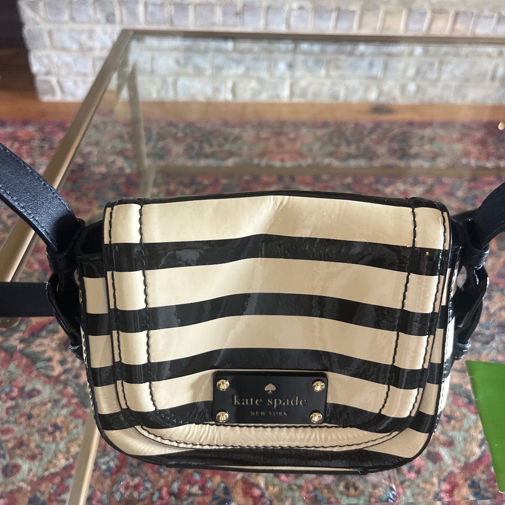 Kate spade striped bag
